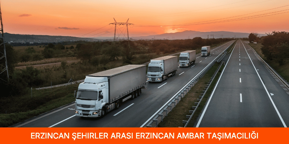 Şehirler Arası Erzincan Ambar Taşımacılığı